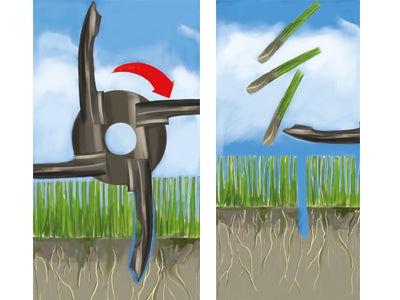 Intrepid 51 ARP Lawn Aerator